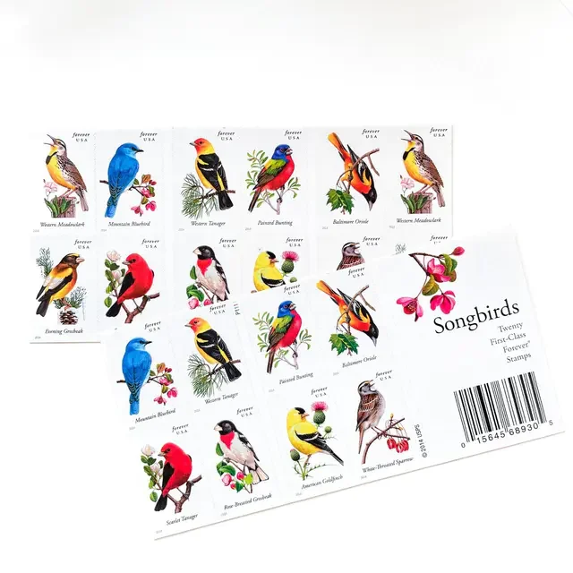 🎁[US Free Shipping]Songbirds