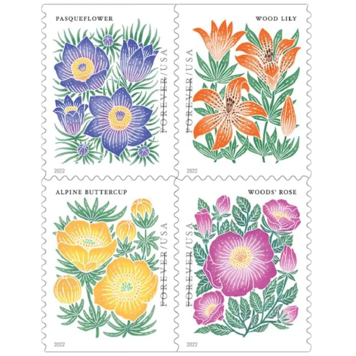 🎁[US Free Shipping]100PCS-Mountain Flora