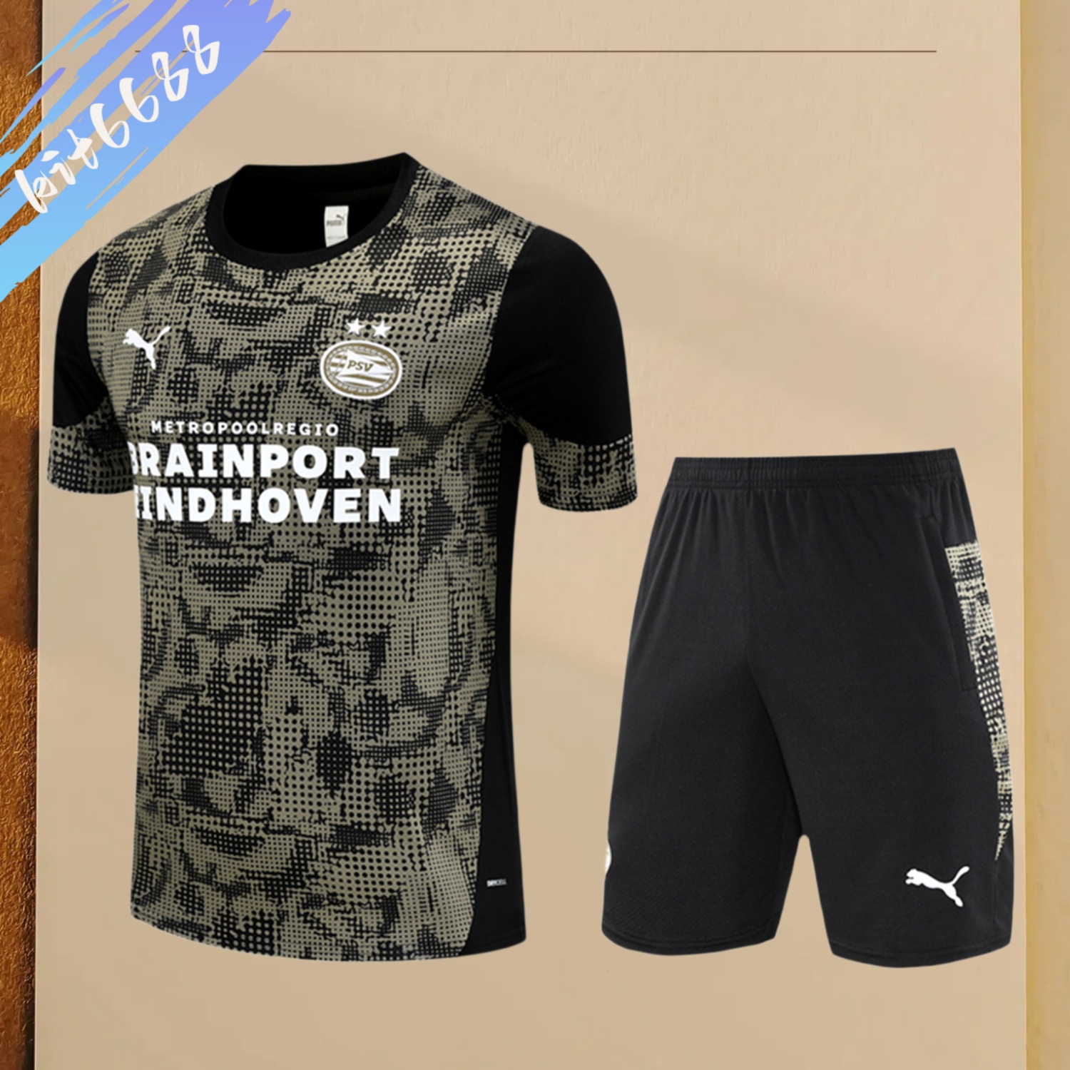 2025/2026 PSV Eindhoven Adult Short Sleeve Training Wear (Adult Kit)