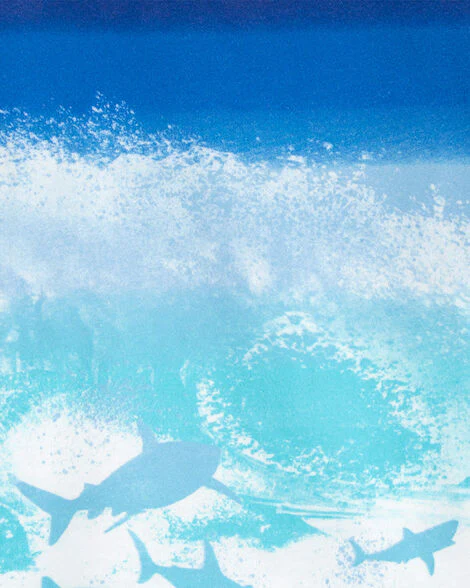 Oshkosh Toddler Beach Print Ombre Tee