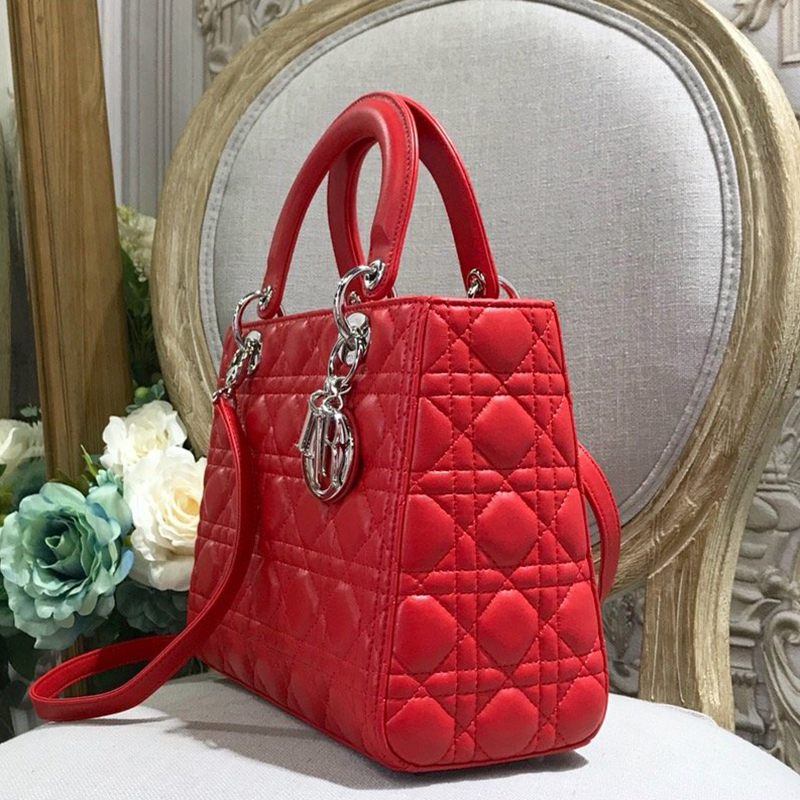 Dior The LADY D-LITE Bag  AAA Quality