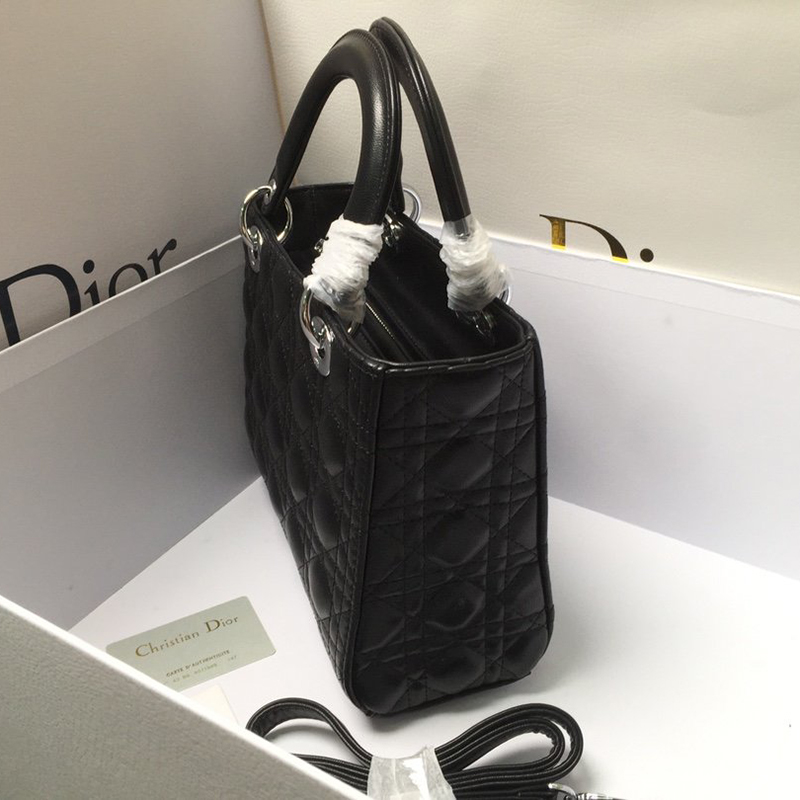 Dior The LADY D-LITE Bag  AAA Quality