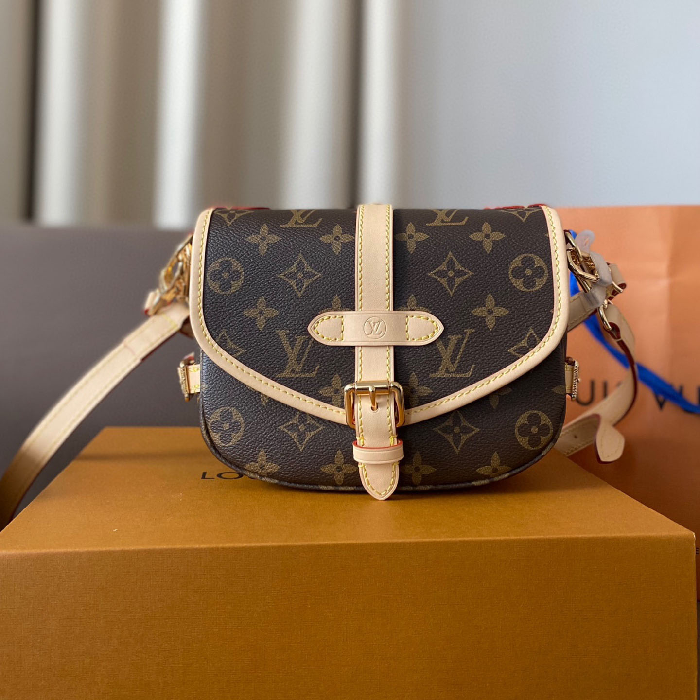 Louis Vuitton LV Saumur BB Shoulder Bag Crossbody Bag