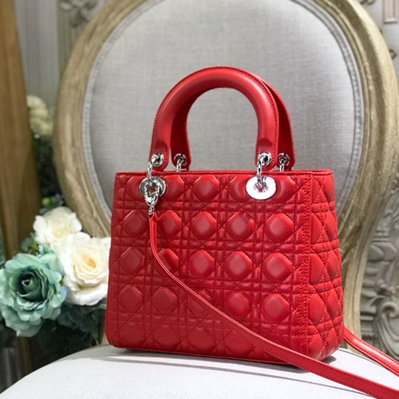 Dior The LADY D-LITE Bag  AAA Quality