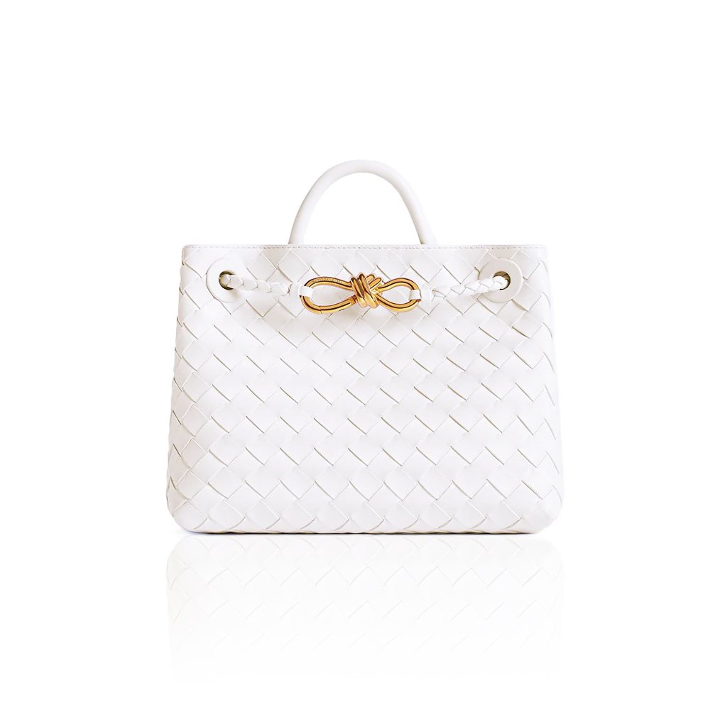 Bottega Veneta Small Andiamo Bag