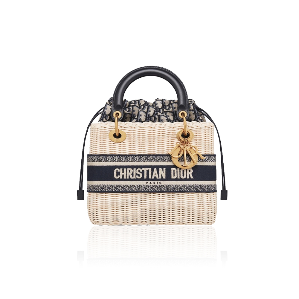 Dior The LADY D-LITE Bag