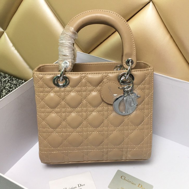 Dior The LADY D-LITE Bag  AAA Quality