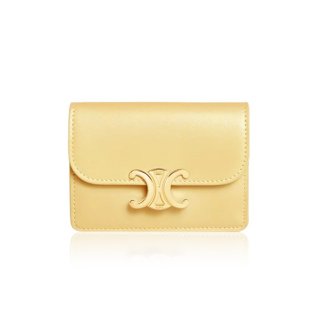 Celine Triomphe Leather card bag