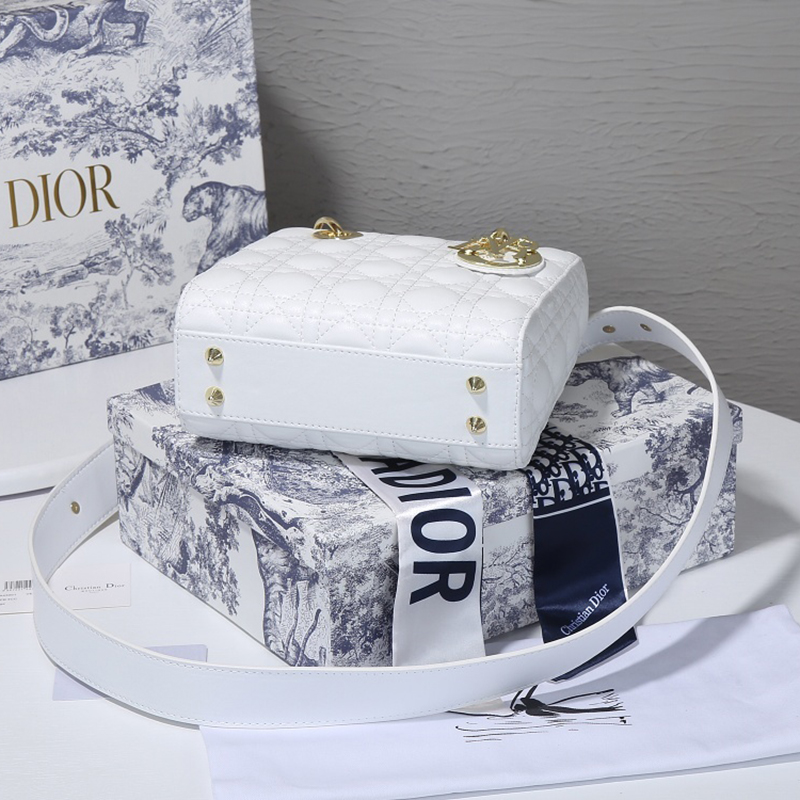 Dior The LADY D-LITE Bag AAA Quality