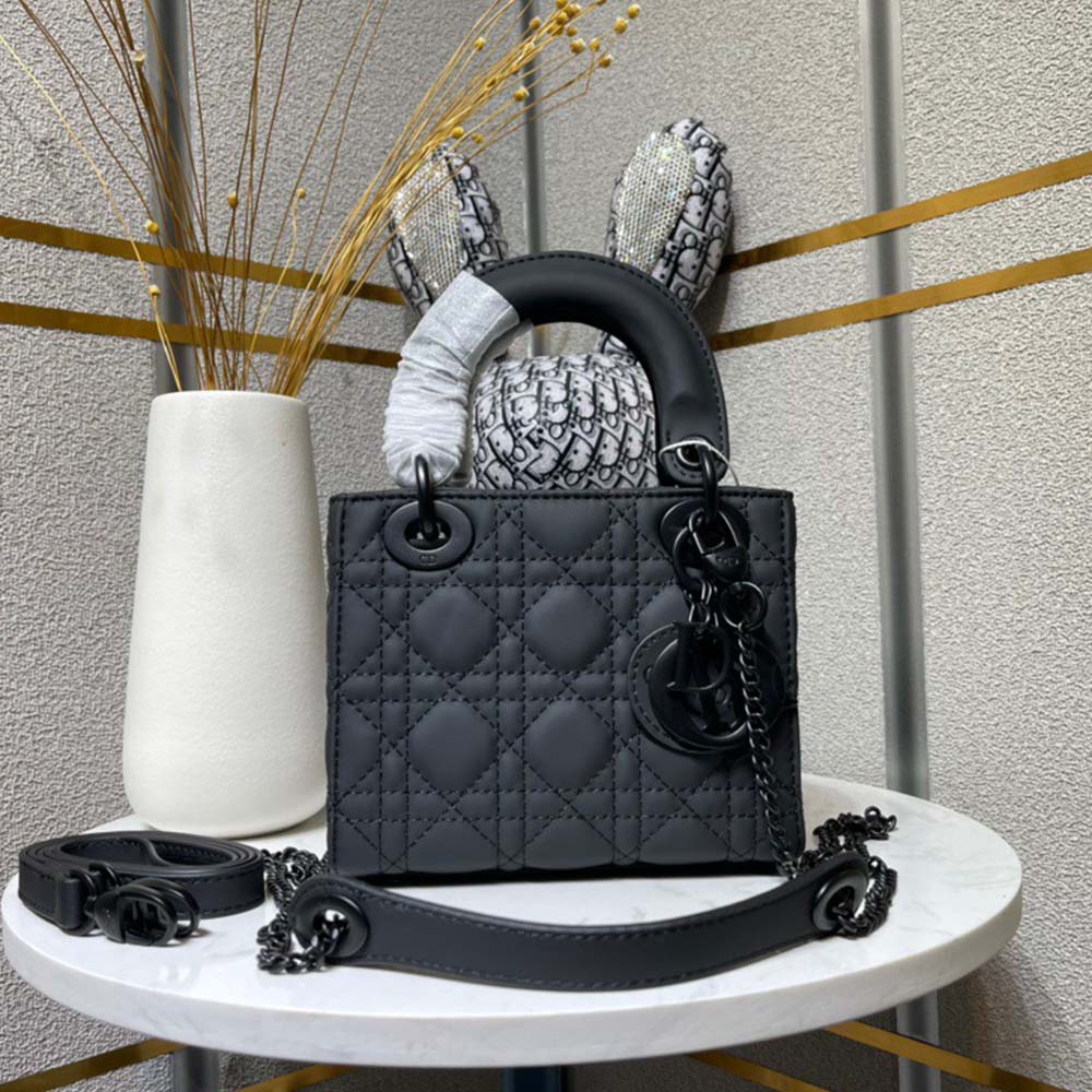 Dior The LADY DIOR Mini Bag-Matte cowhide leather
