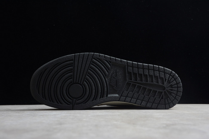 Air Jordan 1 Rookie of the Year 555088-700