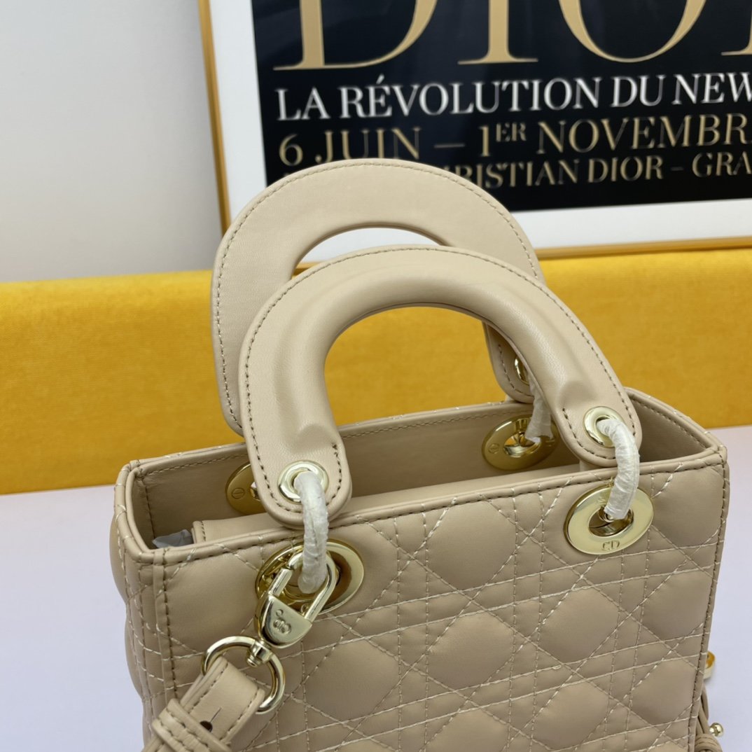 Dior The LADY D-LITE Bag AAA Quality