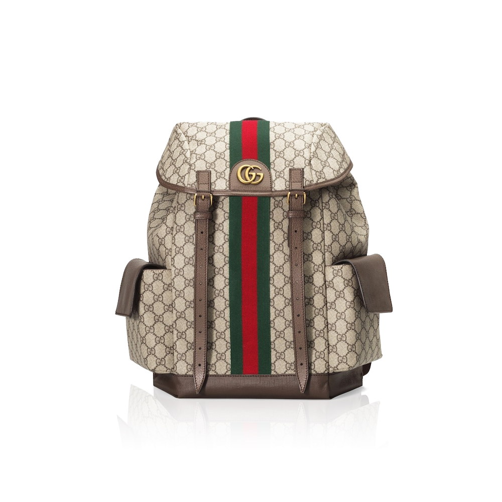 Gucci Ophidia medium backpack