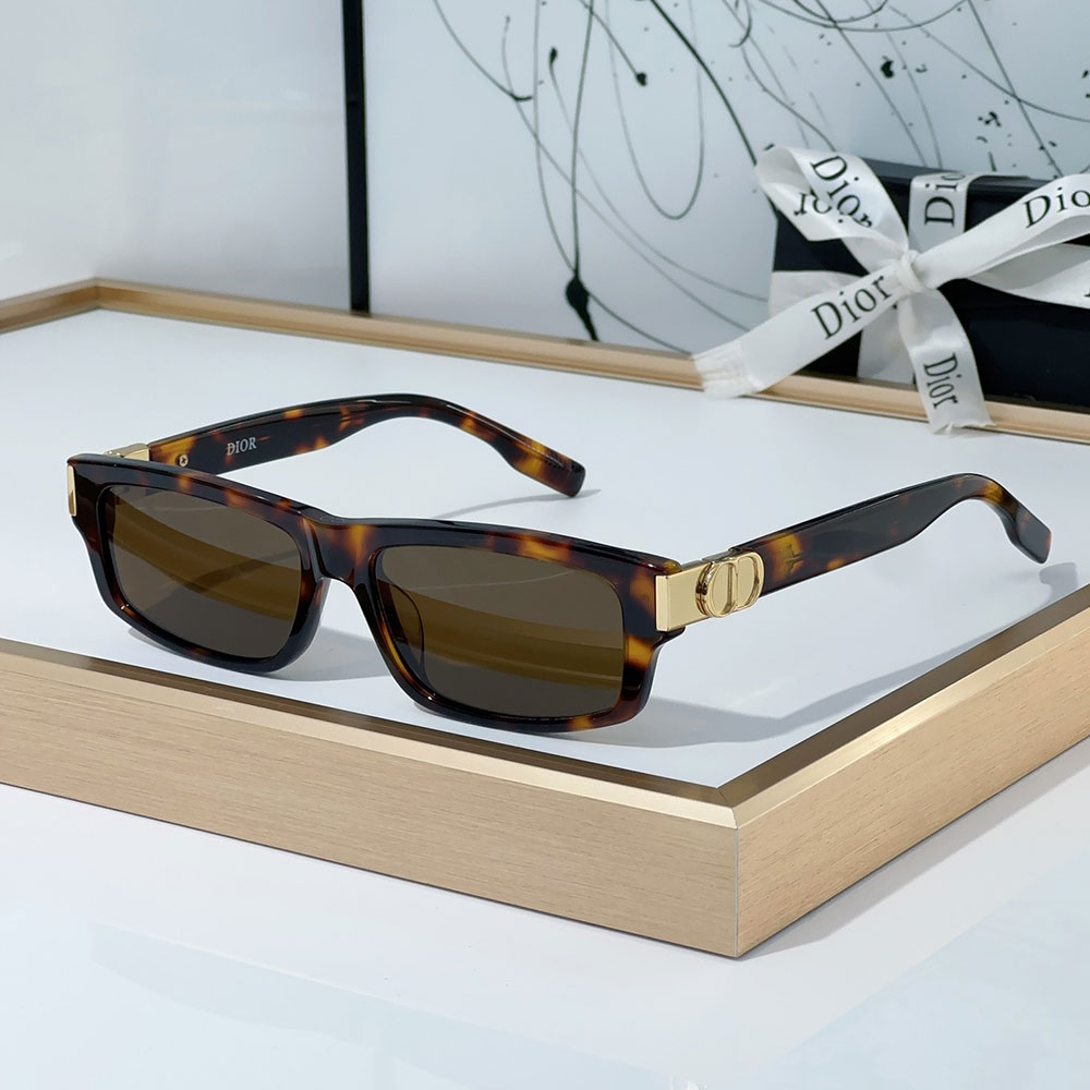Dior Mirror leg CD Logo Acetate Fibre sunglasses Top quality