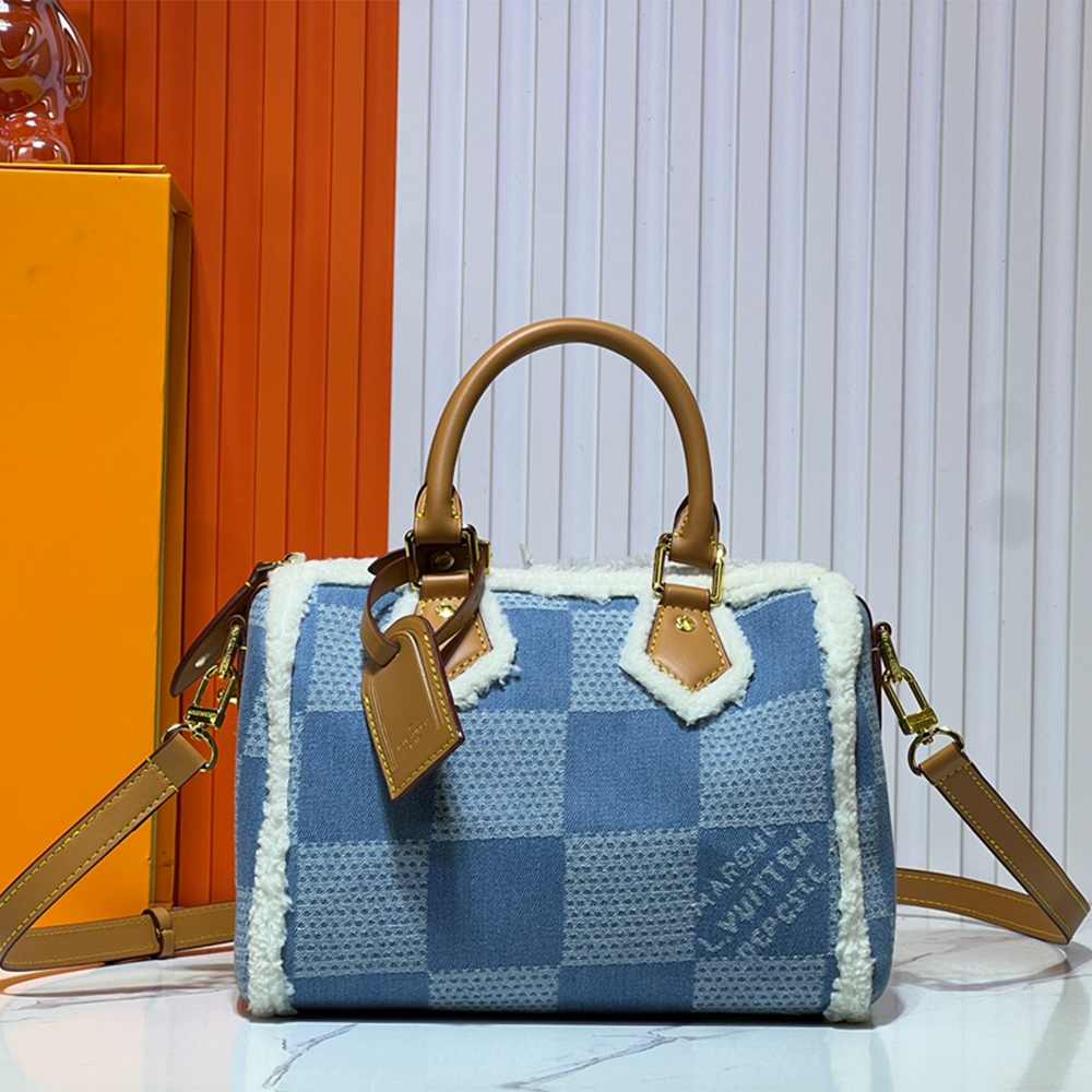 Louis Vuitton Speedy25 Denim Canvas Bag
