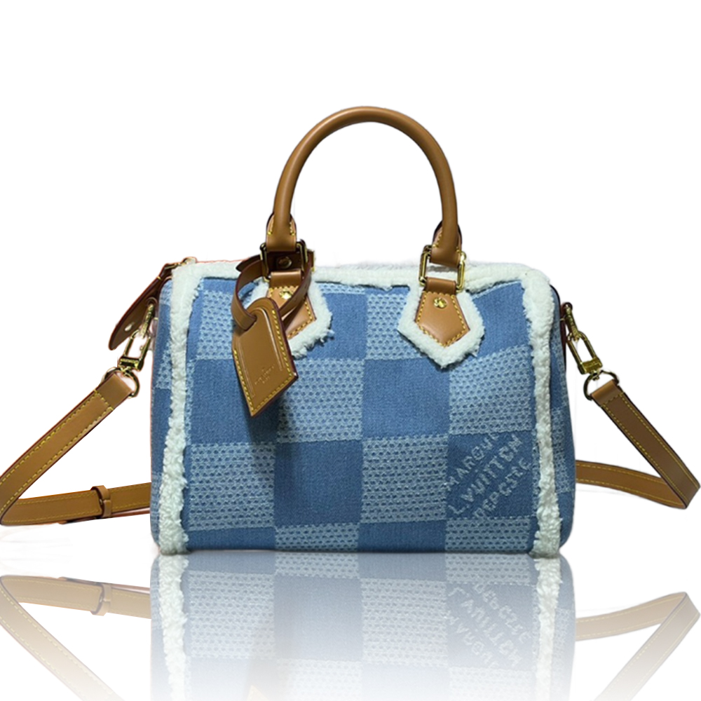 Louis Vuitton Speedy25 Denim Canvas Bag