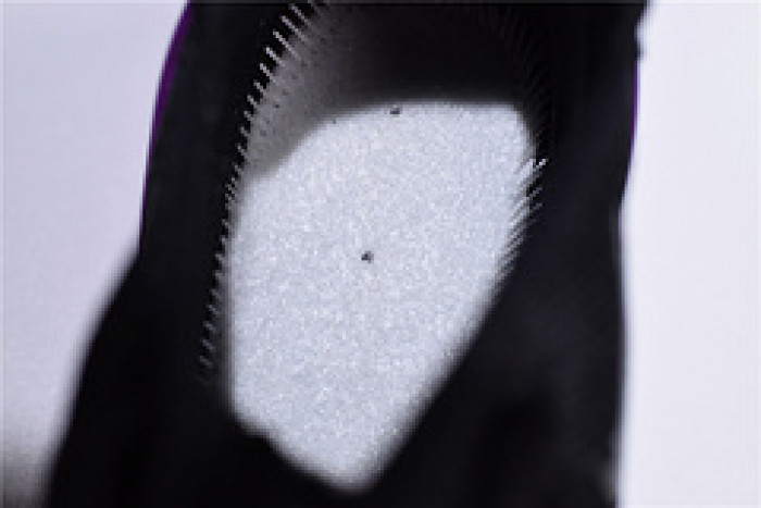 Nike womens Air Max 270 black purple AH6789 016