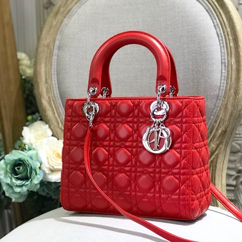 Dior The LADY D-LITE Bag  AAA Quality