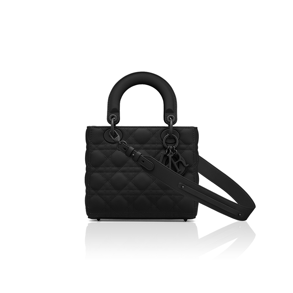 Dior The LADY D-LITE Bag
