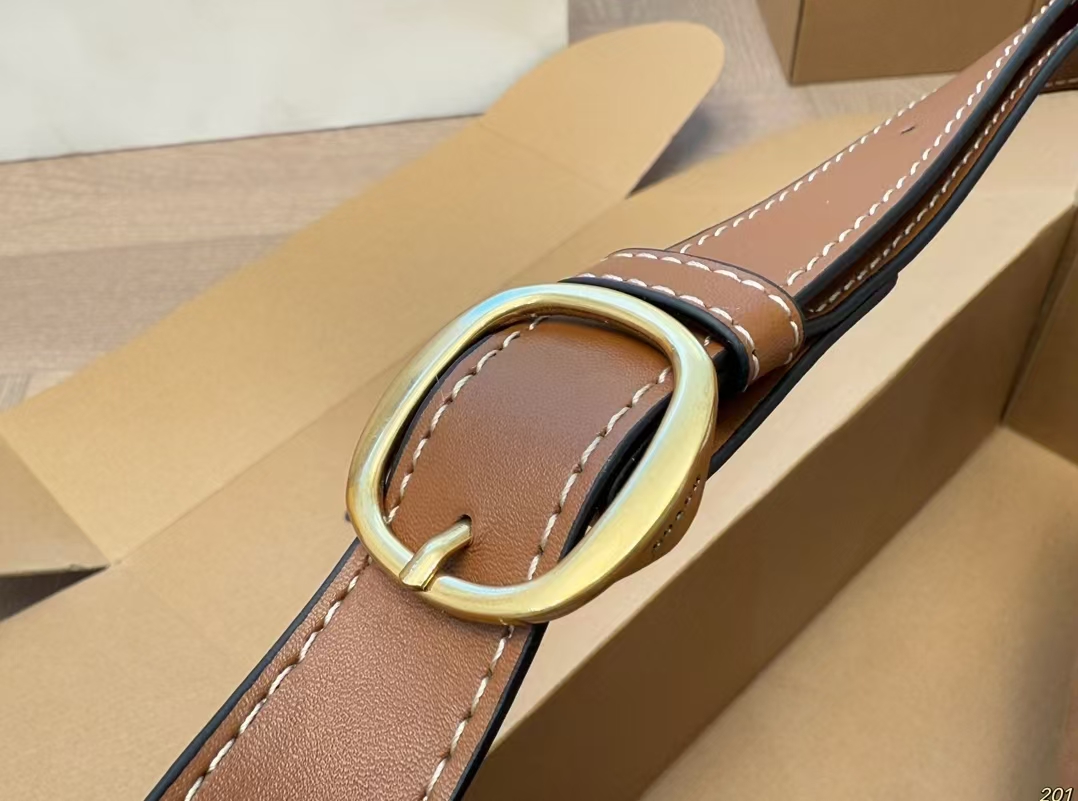 Coach Brown Underarm Bag