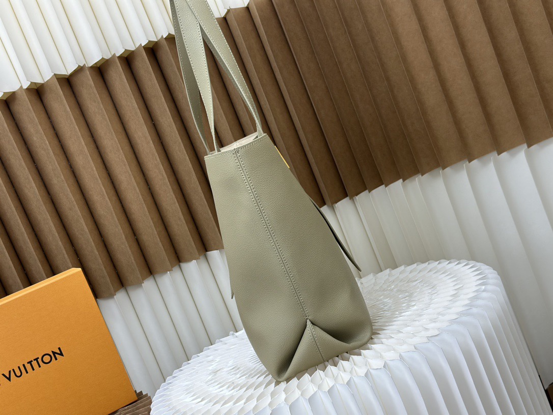Louis Vuitton medium calfskin bag