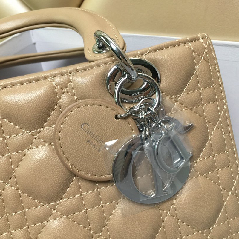 Dior The LADY D-LITE Bag  AAA Quality