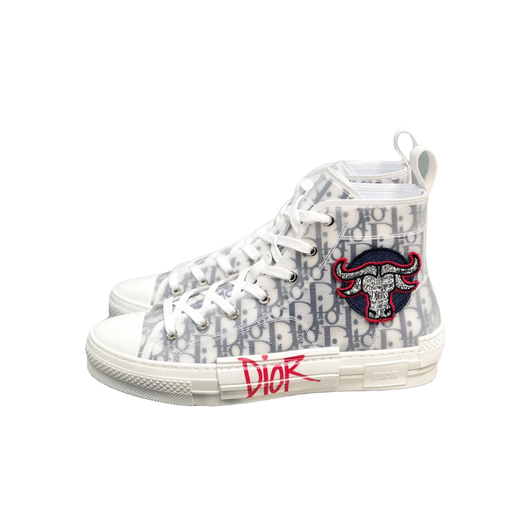 Dior B23 High Top Oblique Foxton Print