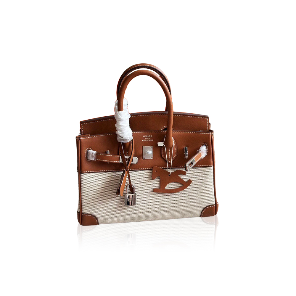 Hermes Birkin 25 canvas and leather handbag