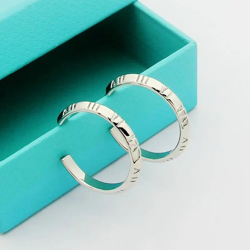 Tiffany Jewelry Earrings Accessories