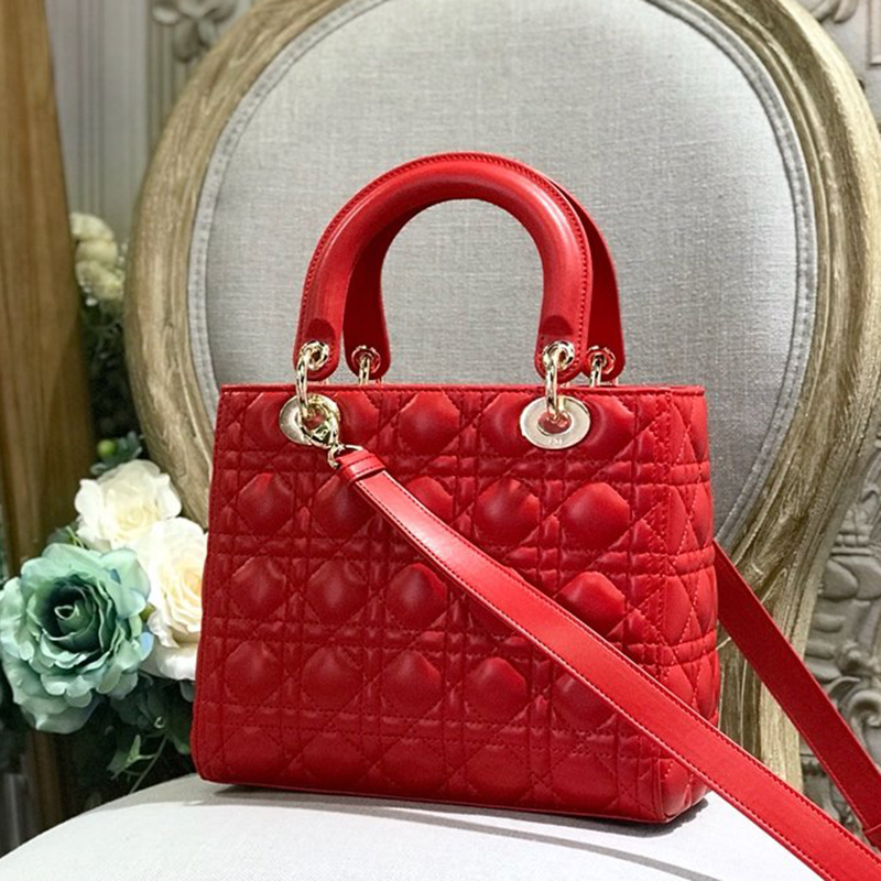 Dior The LADY D-LITE Bag  AAA Quality