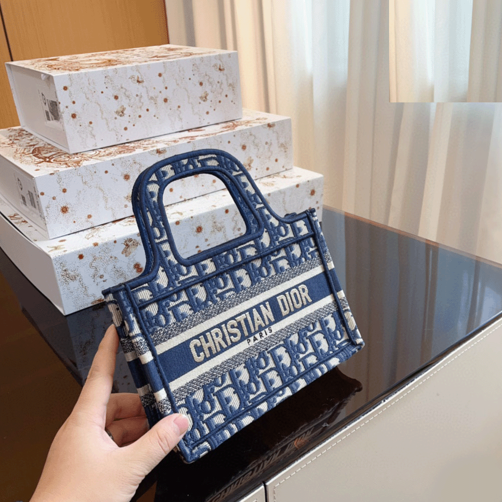 Dior Mini Book Tote