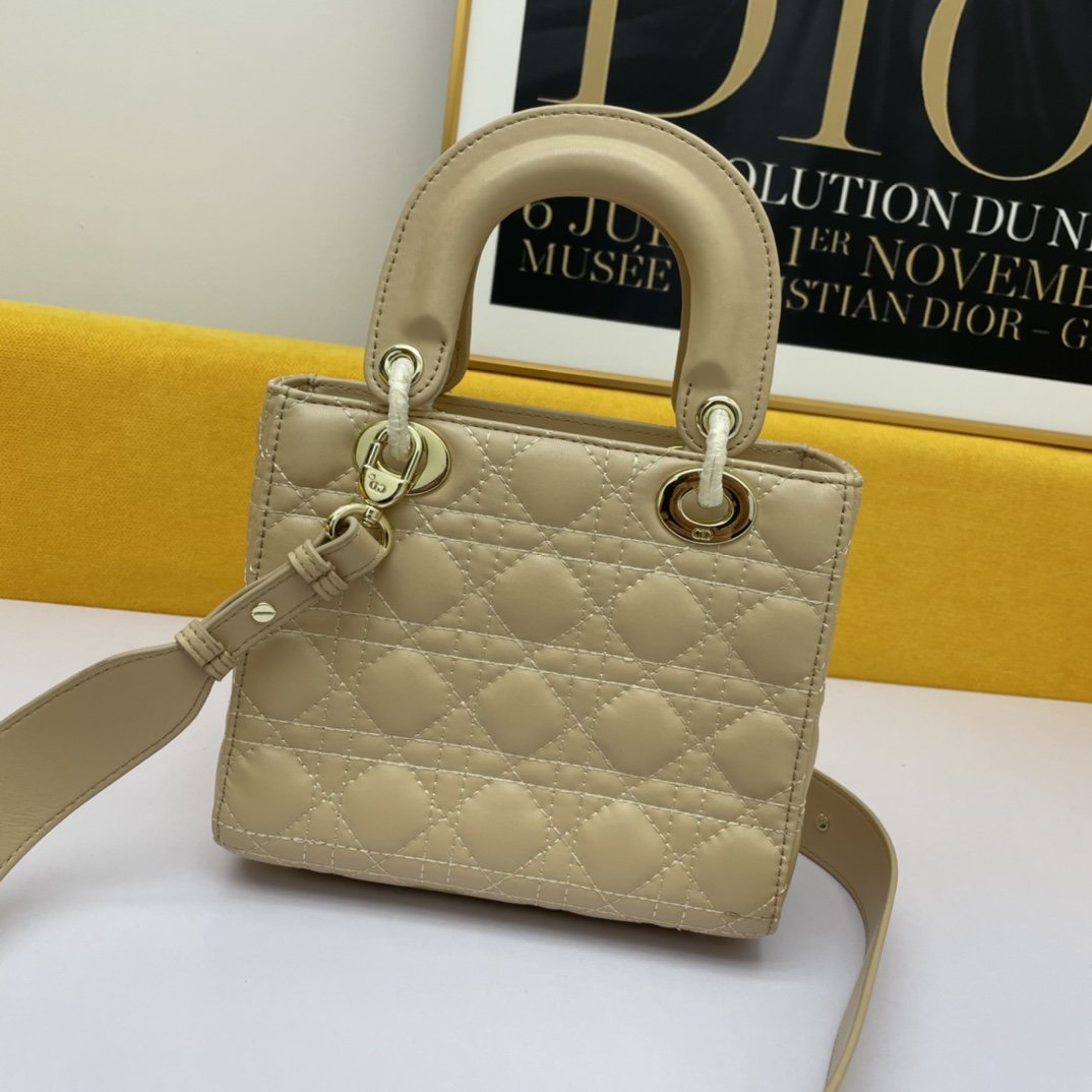 Dior The LADY D-LITE Bag AAA Quality