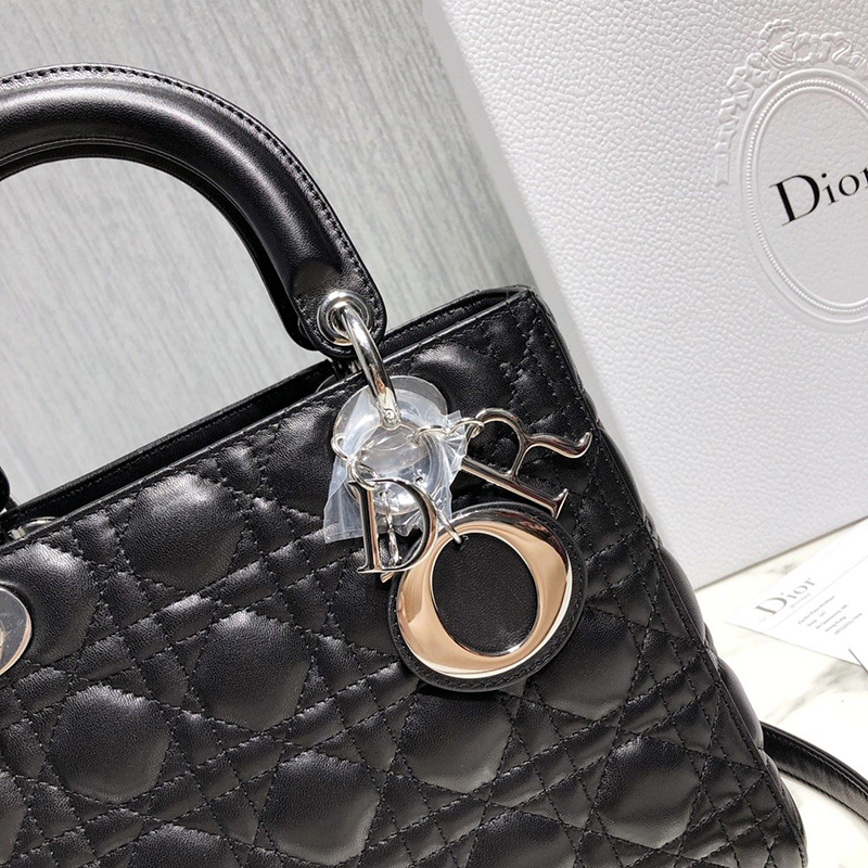 Dior The LADY D-LITE Bag  AAA Quality