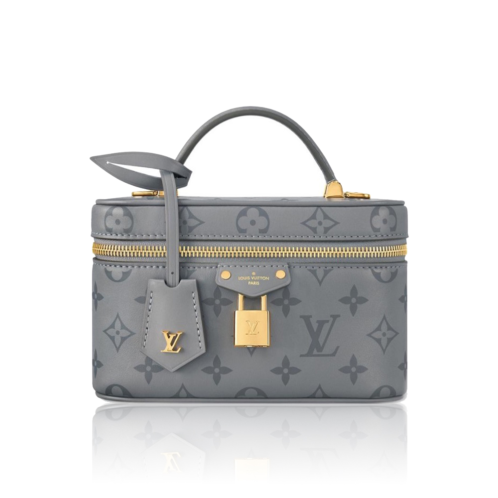Louis Vuitton Vanity Pouch Bag