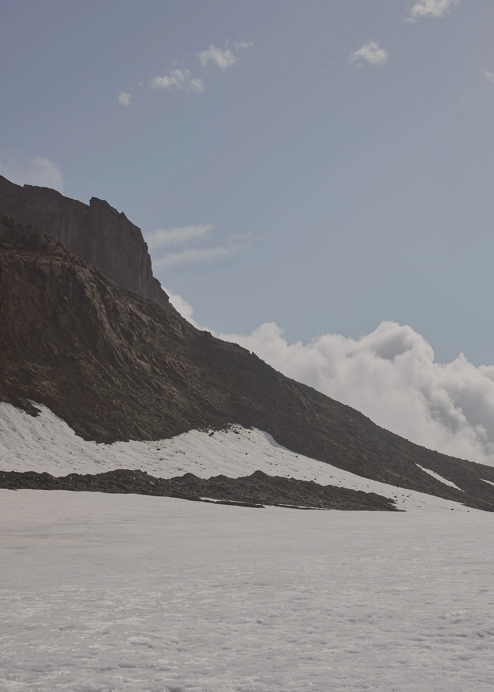 Polène Numéro Un Nano - Textured Tan