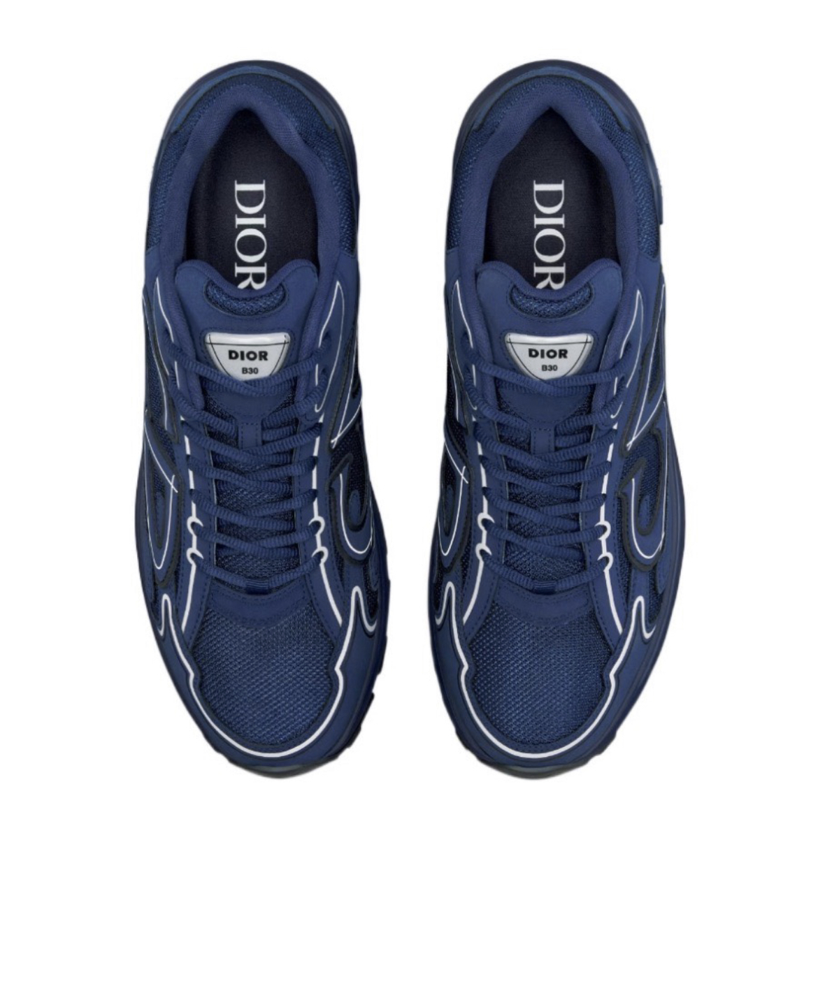 Dior B30 Dad Sneakers blue