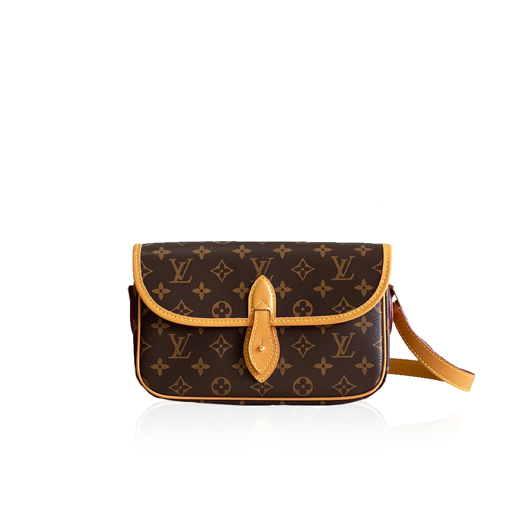 Louis Vuitton Gibeciere PM Shoulder Bag M42248