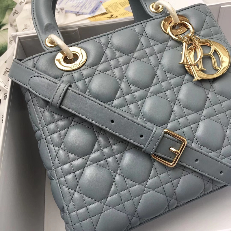 Dior The LADY D-LITE Bag  AAA Quality
