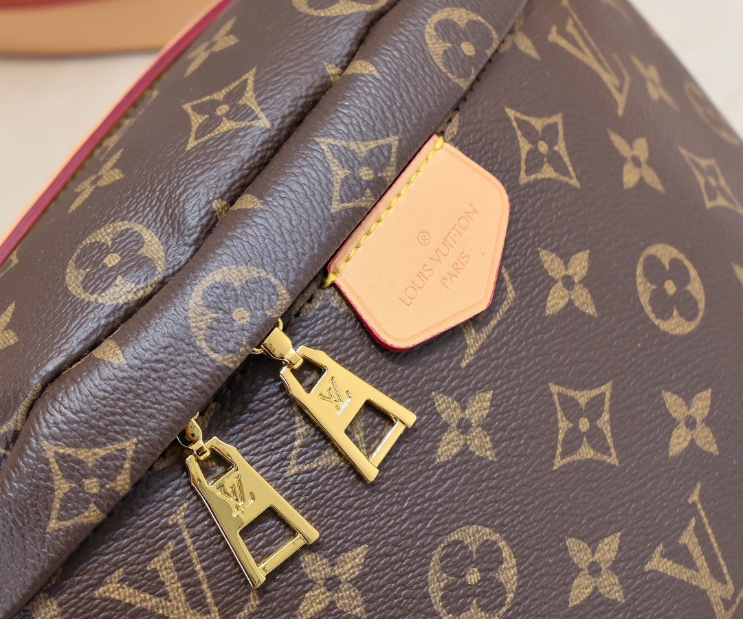 Louis Vuitton Classic Fanny Pack