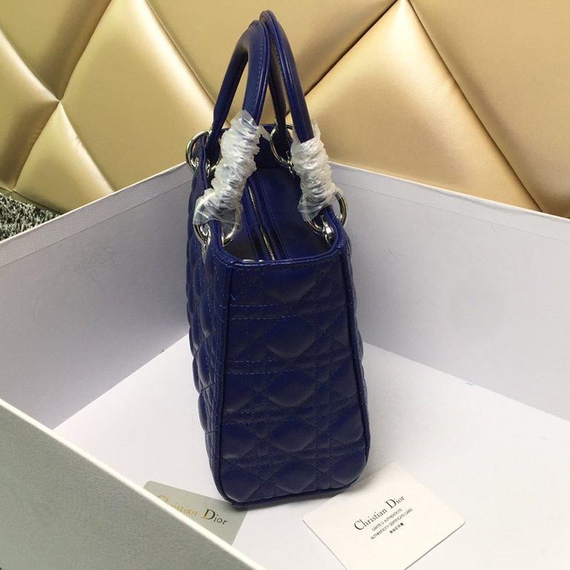Dior The LADY D-LITE Bag  AAA Quality