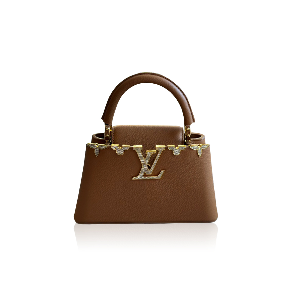 Louis Vuitton capucines handbag