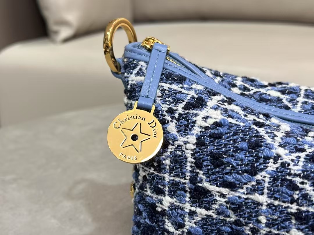 Dior star Hobo Chain Bag