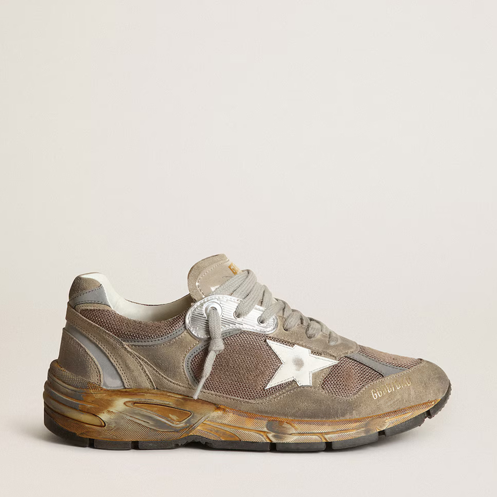 Golden Goose Dad-Star Shoes in Dove Gray Mesh and Suede