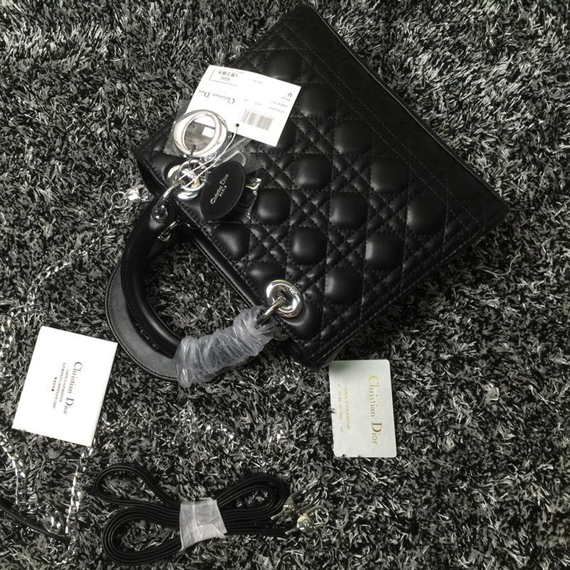 Dior The LADY D-LITE Bag  AAA Quality