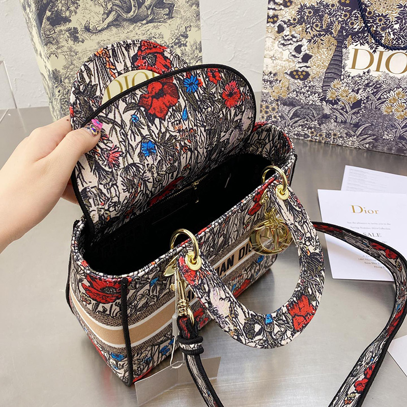 Dior The LADY D-LITE Bag  AAA Quality