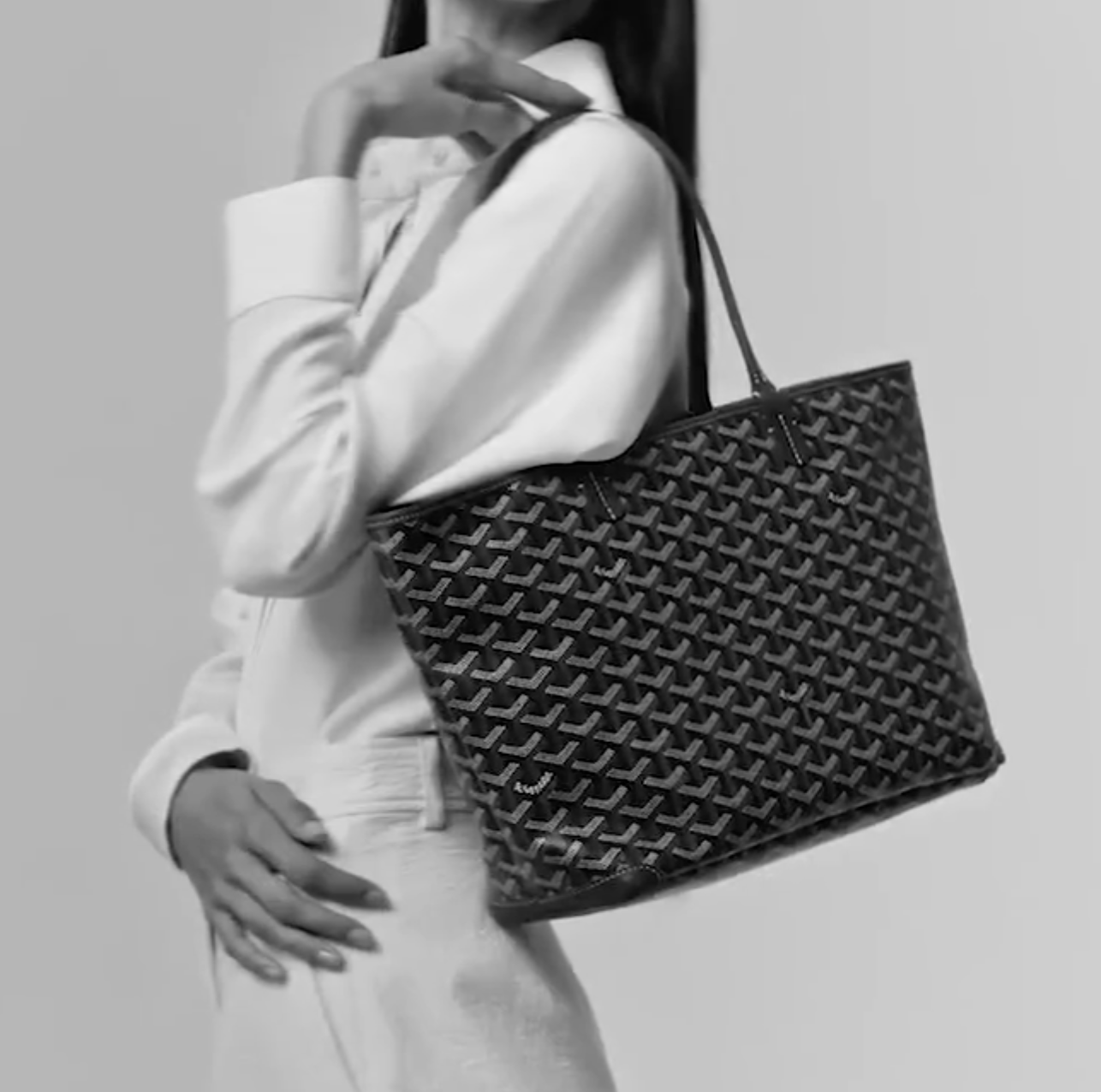 Goyard Tote Anjou PM Bag