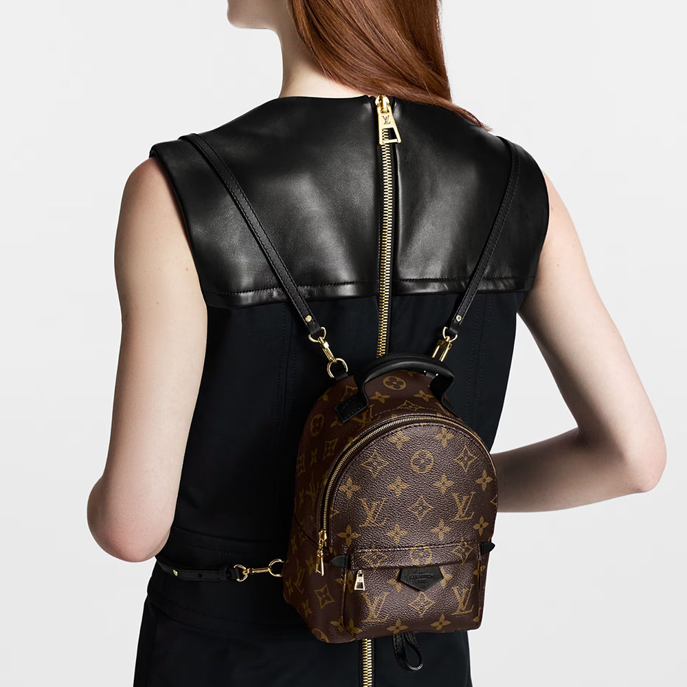 Louis Vuitton LV Palm Springs Backpack Mini&Small&Medium Bag