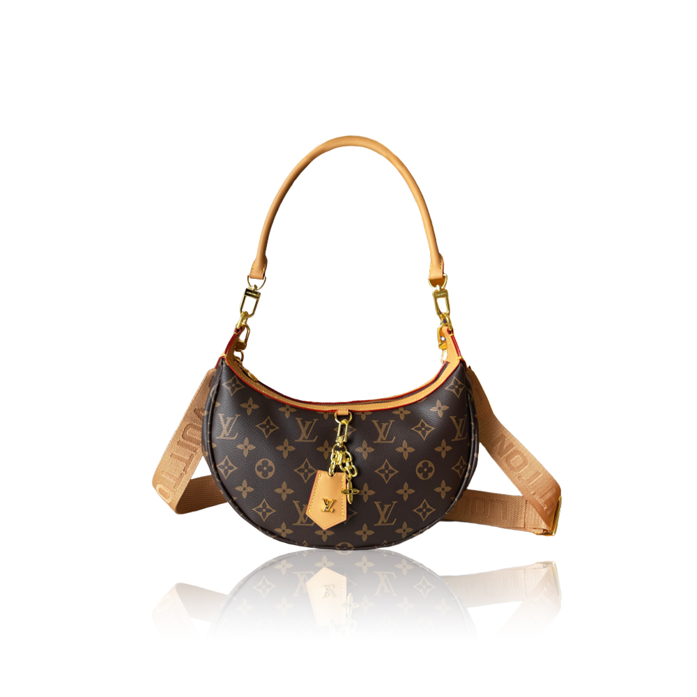 Louis Vuitton new loop hobo handbag