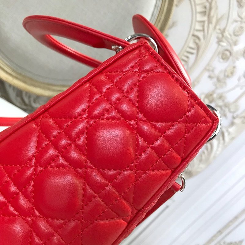 Dior The LADY D-LITE Bag  AAA Quality