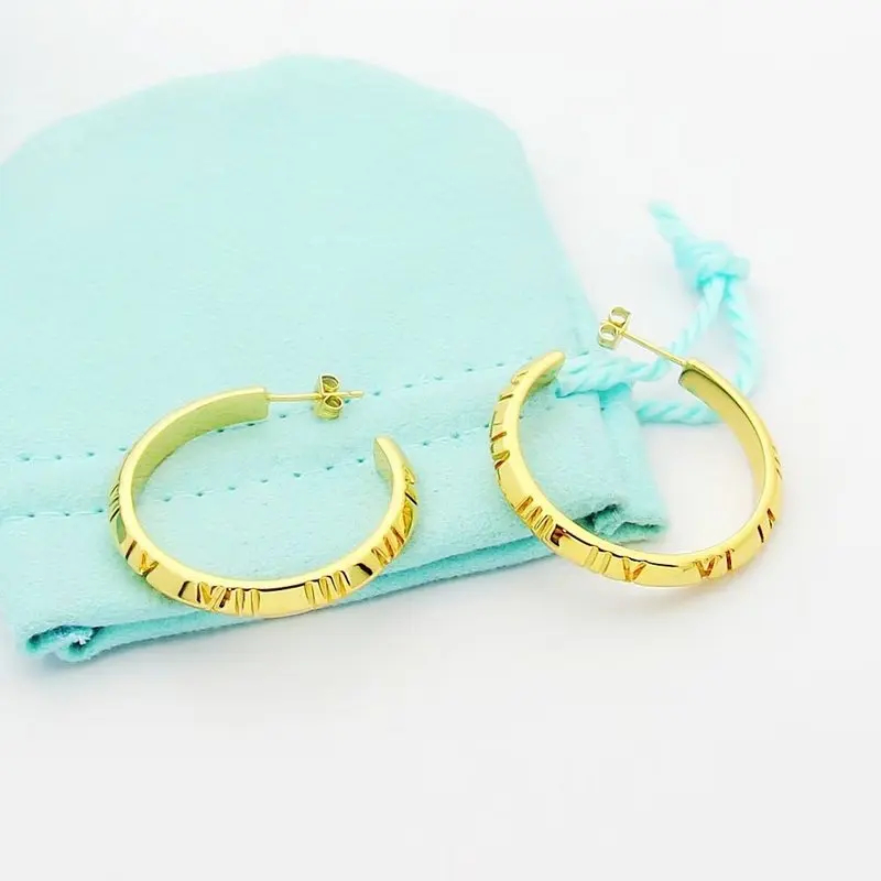 Tiffany Jewelry Earrings Accessories